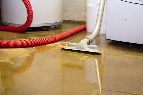 Best Professional water damage repair  in Maplewood, WA