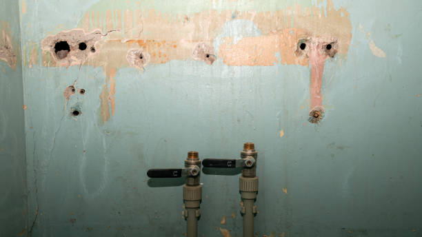 Best Flood damage cleanup  in Maplewood, WA