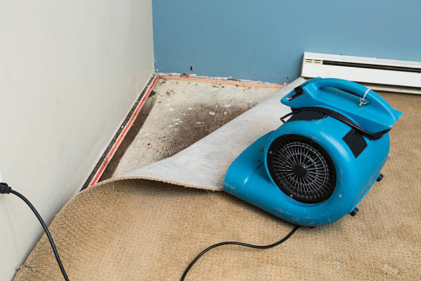 Best Water damage restoration company  in Maplewood, WA